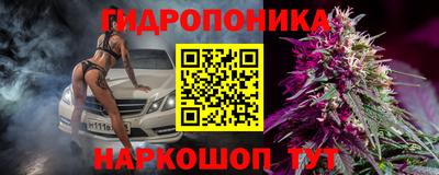 прущие грибы Кунгур