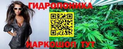 прущие грибы Кунгур