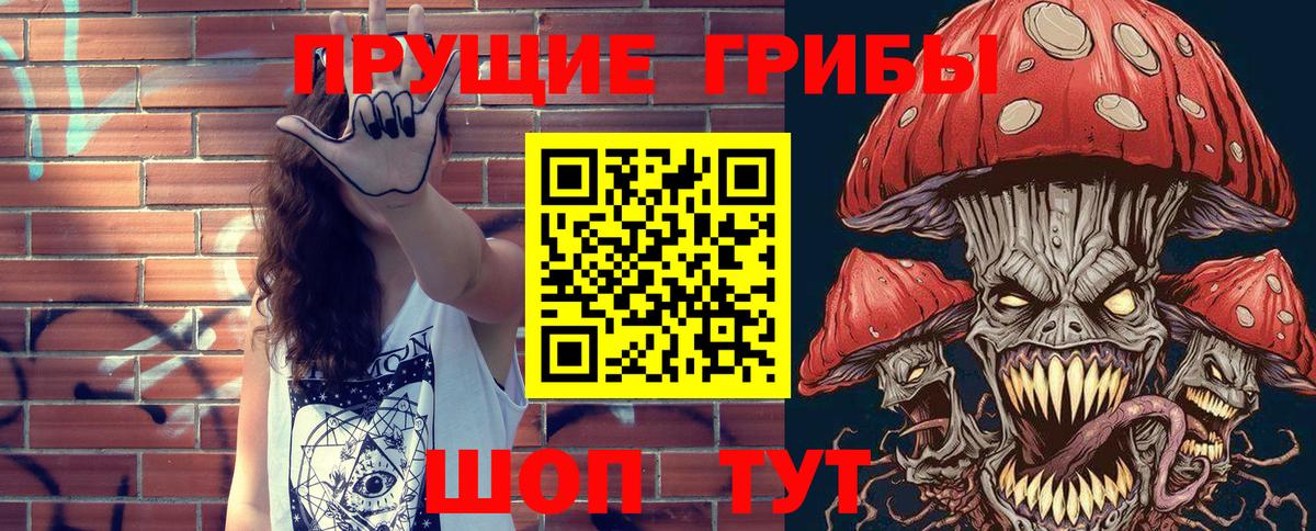 Псилоцибиновые грибы GOLDEN TEACHER Орёл